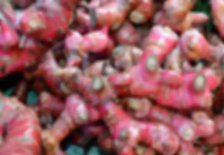 Harga Jahe Merah Tembus Rp100.000/Kg Karena Dampak Corona, Rupanya Khasiatnya pun Tak Main-main dari Perkuat Imunitas Tubuh hingga Jaga Kondisi Jantung