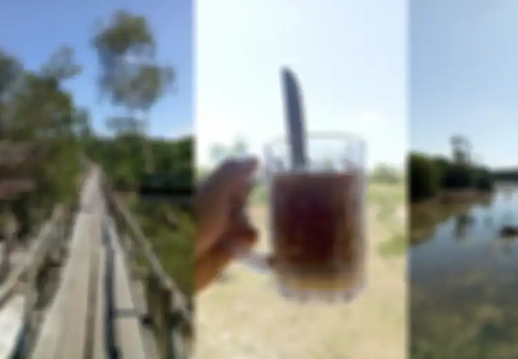 Tamasya di Sungai Purba Belitung, Menjelajah Sambil Bercerita Kisah Unik