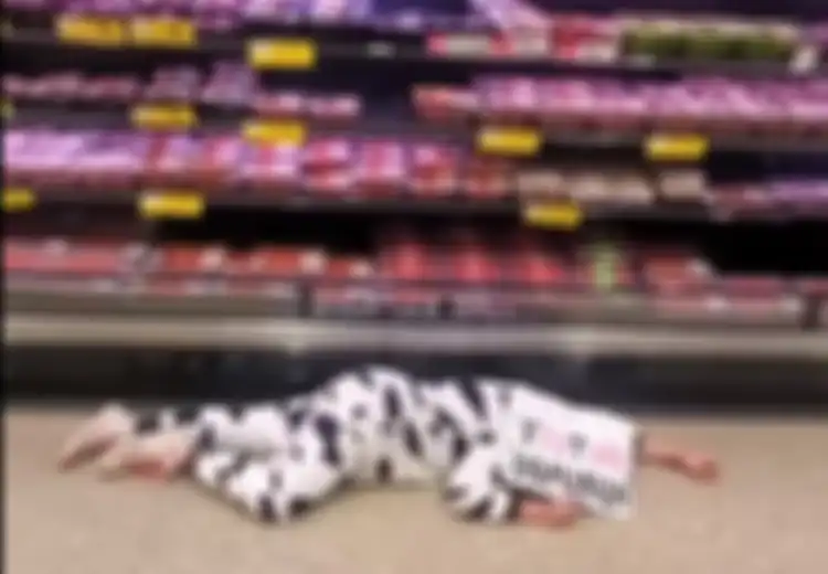 Vegetarian Protes dengan Kostum Sapi dan Berpura-pura Mati di Depan Rak Daging Supermarket, Tapi Tak Ada yang Peduli