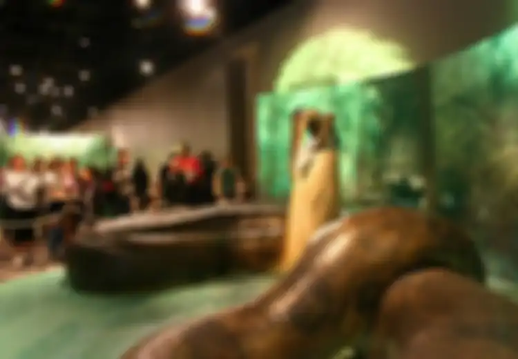 Titanoboa, Ular Purba Seberat 1 Ton yang Bisa Telan Buaya Utuh-utuh