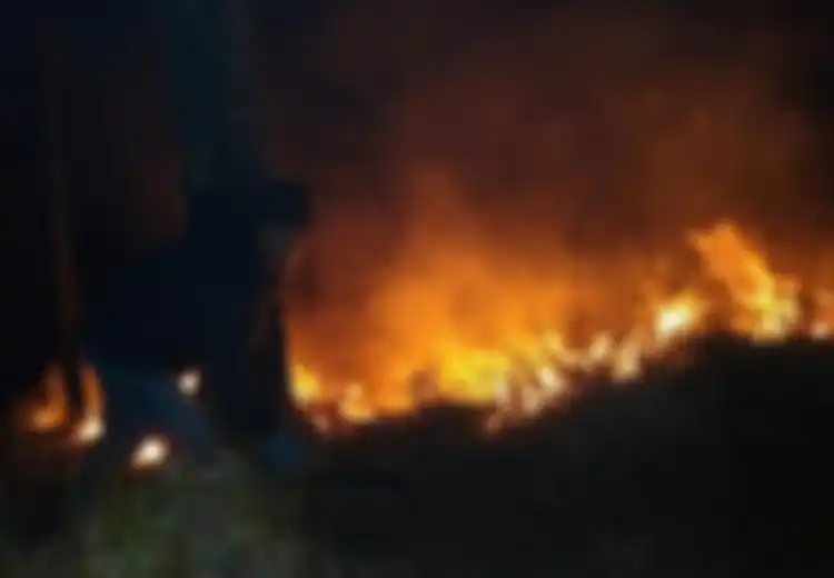 Puncak Gunung Arjuno Terbakar Sejak 28 Juli, BPBD Sebut Satu Faktor yang Jadi Kendala Pemadaman Meski Sudah Kerahkan Helikopter