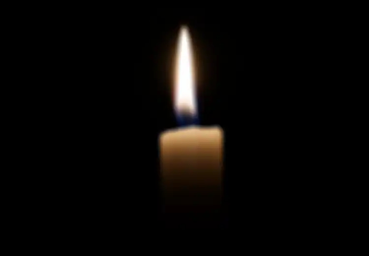 Pohon Tinggi Disebut Sebagai Penyebab Mati Lampu Serentak, Ini Penjelasan Polisi