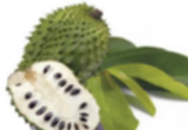 Nyesel Kalau Tidak Tahu! Cuma Rutin Makan Buah Sirsak, Jangan Kaget Setahun ke Depan Jadi Irit Biaya ke Rumah Sakit