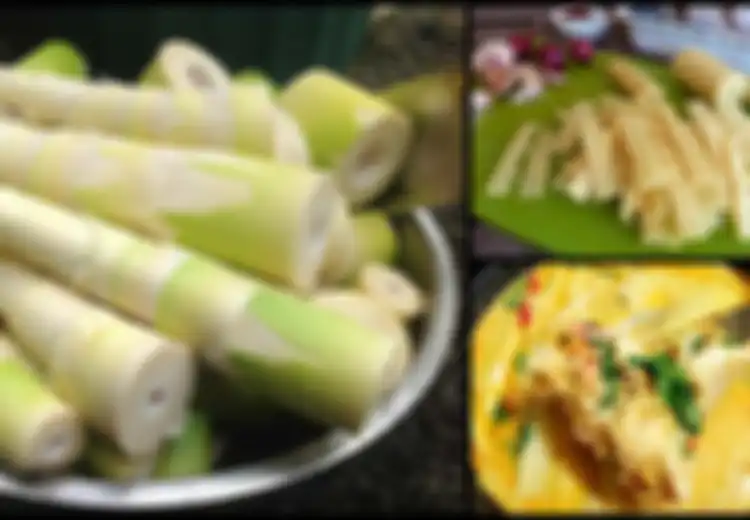 Kabar Gembira Bagi Warga Se-Indonesia, 5 Manfaat Luar Biasa Ini Bisa Anda Dapatkan Jika Rutin Konsumsi Rebung, Termasuk Anti Kanker!