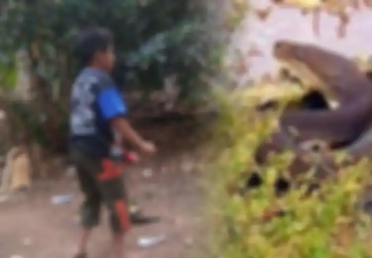 Miliki Kebiasaan Aneh Gigit Ular Sampai Mati, Tim Medis Ungkap Penyakit yang Diidap Rizki Sebenarnya