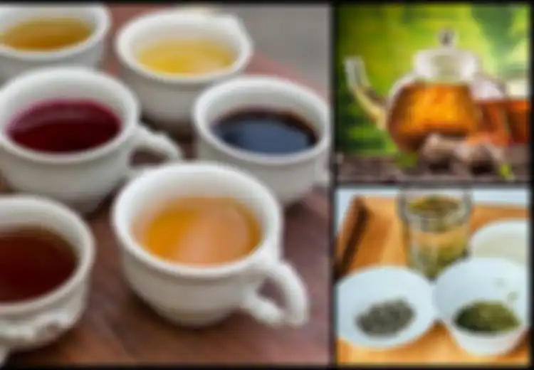 Dari Teh Hijau hingga Teh Hitam, Ini 5 Macam Teh dan Manfaatnya, Mana yang Cocok Bagi Anda?