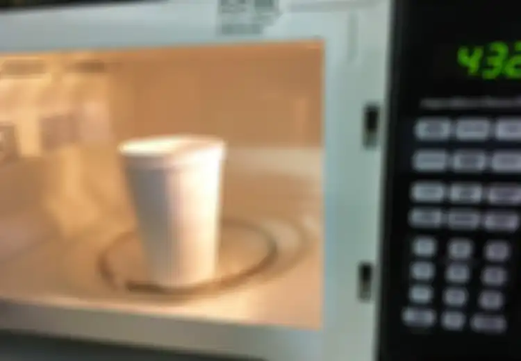 Orang-orang se-Indonesia Harus Tahu Kalau Tidak Semua Makanan Boleh Dipanaskan dengan Microwave, Perhatikan Makanan Berikut Ini yang Tidak Boleh