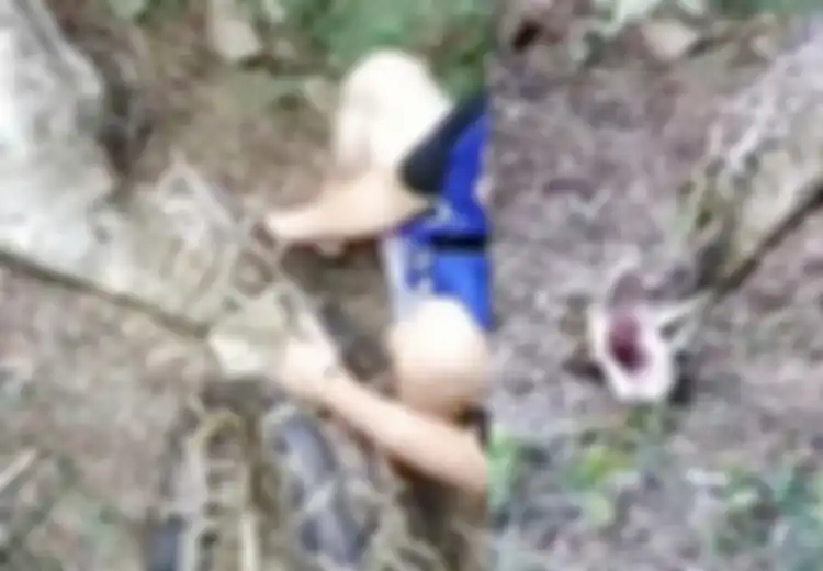 Usai Ular Dipijit-pijit Lantaran Lemas Tak Berdaya, Petani yang Temukan Ular Piton 'Raksasa' Ini Jadi Memecahkan Misteri dalam Hidupnya