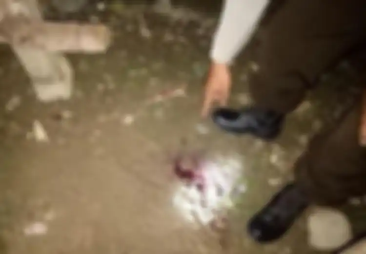 Telusuri Suara dari Dalam Tanah yang Didengarnya, Wanita Ini Temukan Bercak Darah, Saat Dibongkar Inilah Isinya