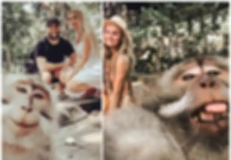 Monyet di Obyek Wisata Bali Melek Teknologi dan Bisa Selfie? Jangan Tertipu, Video Viral Ini Ungkap Rahasianya