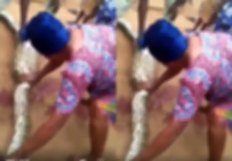 (Video) Jadi Tontonan, Wanita Ini dengan Berani Tangkap Ular untuk Keluarkan Kambing dari Perutnya!
