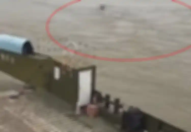 Berenang Meliuk-liuk Seperti Monster Ular Raksasa, 'Makhluk' yang Panjangnya Diperkirakan 20 Meter Ini Sempat Muncul ke Permukaan Sungai, Apa Sebenarnya?
