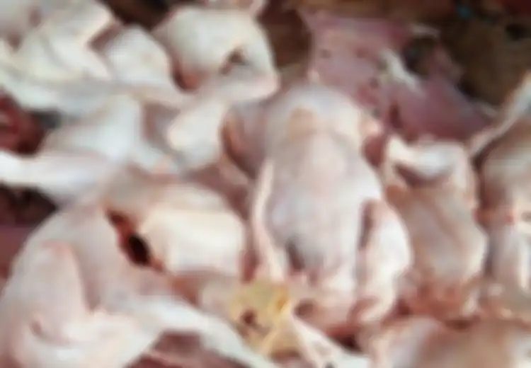 Salah Satunya Favorit Banyak Orang, Inilah 6 Bagian Ayam yang Mengandung Banyak Bakteri dan Virus, Hati-hati!
