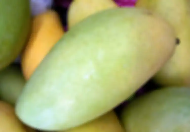 Gunakan Mangga untuk Lindungi Kulit dari Kerusakan Akibat Radiasi Sinar Ultraviolet, Begini Caranya Menggunakannya!