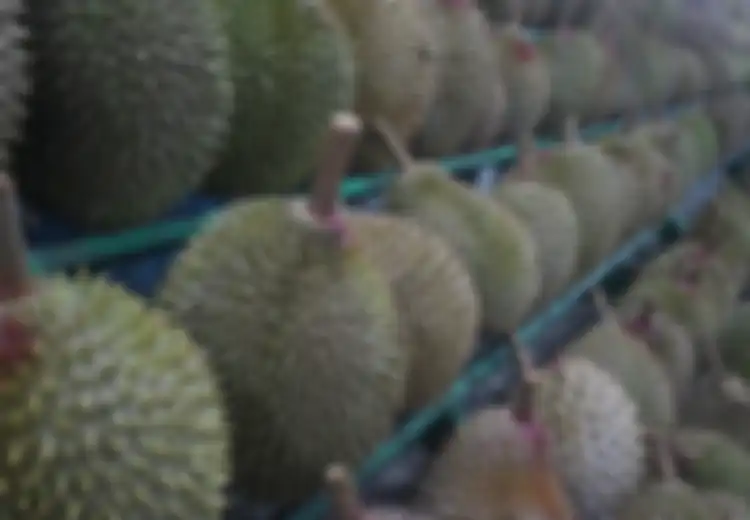 Mendapat Paket Berbau Khas Buah Asli Indonesia Ini, Enam Pekerja Pos Jerman Sampai Dilarikan ke Rumah Sakit dalam Kondisi Kritis