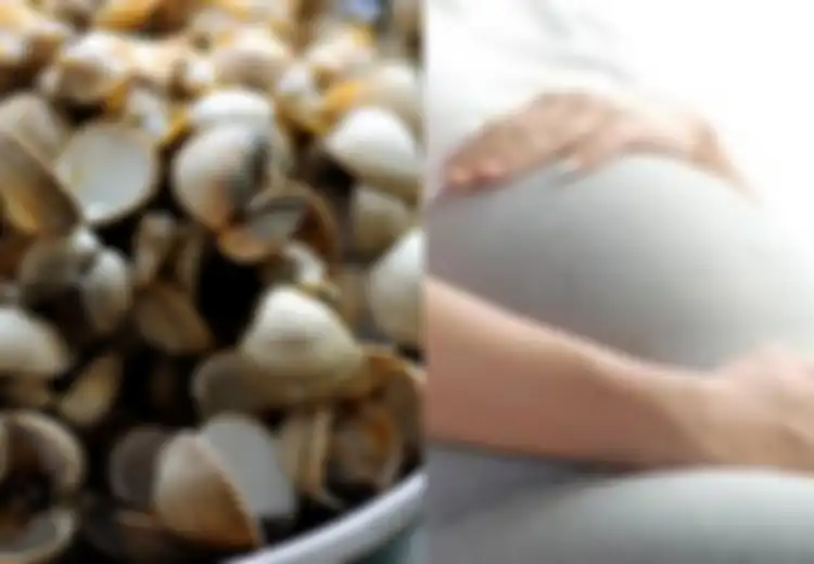 Seorang Ibu Hamil Mengalami Diare Kemudian Ditemukan Tewas Setelah Makan Kerang dalam Kondisi Ini, Apa Sebabnya?