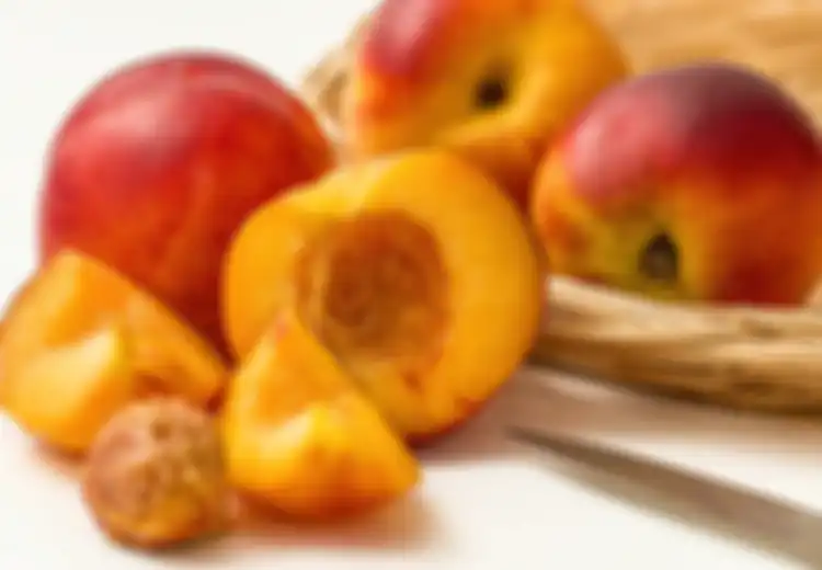 10 Manfaat Hebat dari Buah Nectarine, Salah Satunya Cegah Kanker, Tapi Lubang nectarine Mengandung Sianida