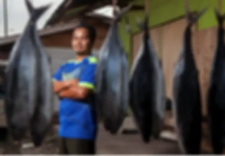 Para Nelayan yang Menyiasati Arah Angin dengan Internet