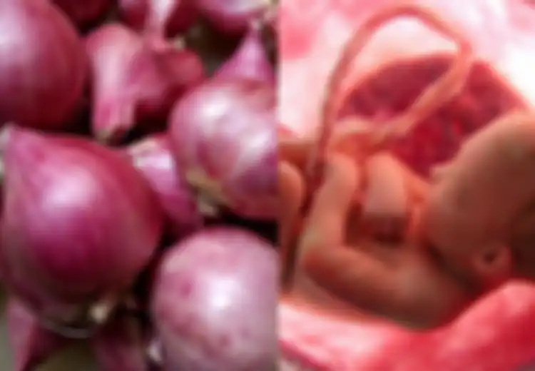 Tidak Hanya untuk Bumbu Masakan, Ini Manfaat Lain Bawang Merah, Salah Satunya Cegah Cacat pada Janin