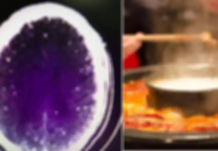 Seorang Pria Kejang-kejang, Ternyata Ada Cacing Pita Tumbuh di Otaknya, Memasak Daging dengan Cara Seperti Inilah yang Jadi Penyebabnya