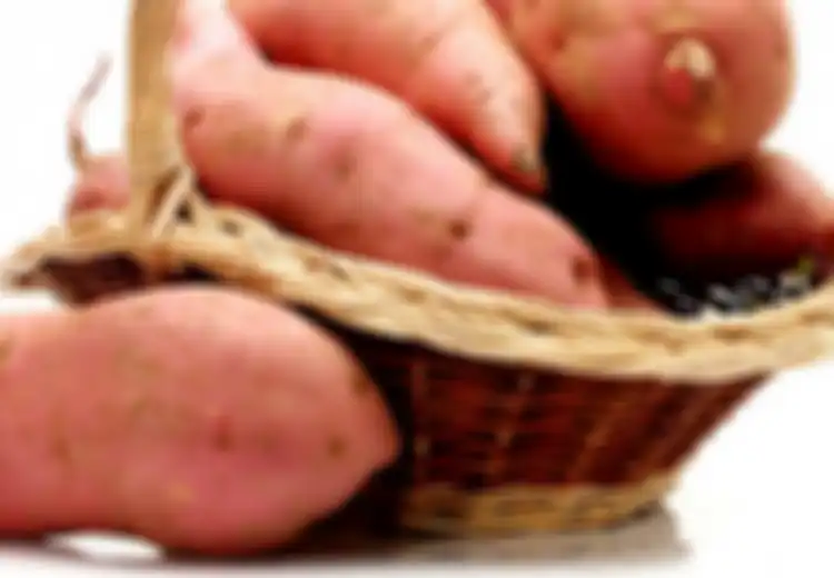 Harganya Murah Meriah, Makan Ubi Rebus Ternyata Bisa Mencegah 3 Penyakit yang Banyak Diderita Orang ini