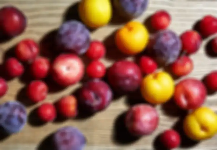 Ini 5 Manfaat Makan Buah Plum untuk Kesehatan Wanita, Salah Satunya untuk Kesehatan Tulang agar Tidak Osteoporosis