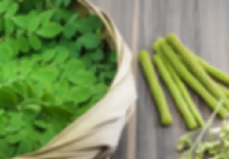 Ini 16 Manfaat Daun Kelor, Termasuk Biji Kelor,  dari Diabetes Hingga Cegah Kanker, Tapi Hati-hati Efek Sampingnya