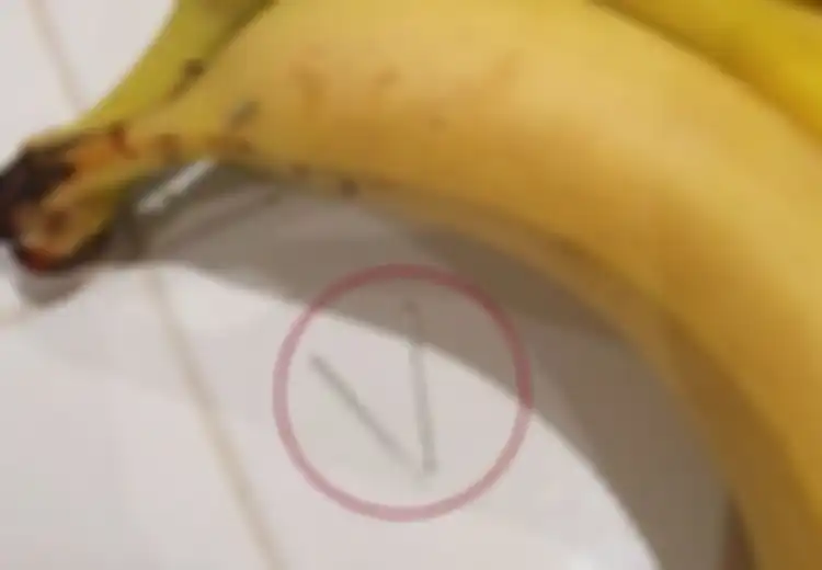 Beli Pisang, Ibu Ini Ngeri Ada Jarum Besar dan Tajam di Dalam Pisang yang Digigit Anaknya