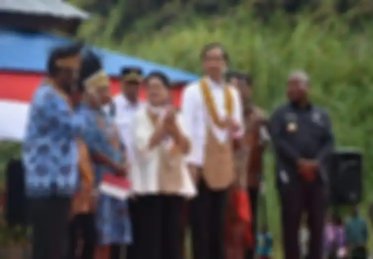 Perencanaan Pembagian Provinsi di Papua Disebut Pakar Akan Jadi Buah Simalakama: Hanya Akan Merusak dan Rugikan Indonesia Sendiri, Ini Sebabnya