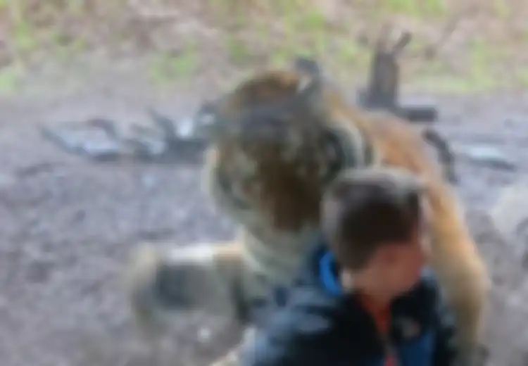 Pantas Dirinya 'Diserang' dan Dibenci Setengah Mati olah Warganet, Ucapan dan Reaksi Pria Ini saat Anaknya 'Diserang' Harimau Memang Dianggap Menjengkelkan