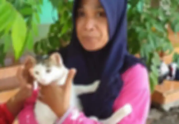 Aksi Heroik Kucing Kampung Selamatkan Satu Keluarga di Mojokerto dari Teror Ular Kobra, Berhasil Gigit Mati Dua Ular Kobra