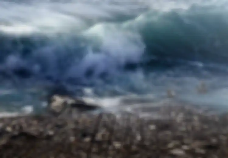 Gempa M 7,4 Guncang NTT, Disebut Berpotensi Tsunami, Mendadak Pusat Peringatan Tsunami di Amerika Sampai Beri Peringatan Begini Pada Indonesia