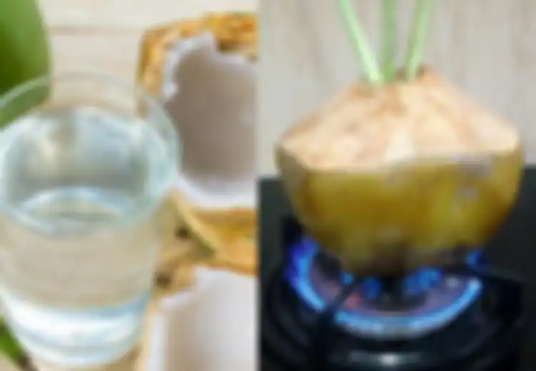 Coba Minum Rebusan Air Kelapa, Rasakan Manfaatnya untuk Tubuh, Penyakit Mematikan  Ini Tidak Akan Masuk ke Tubuh, Mau?