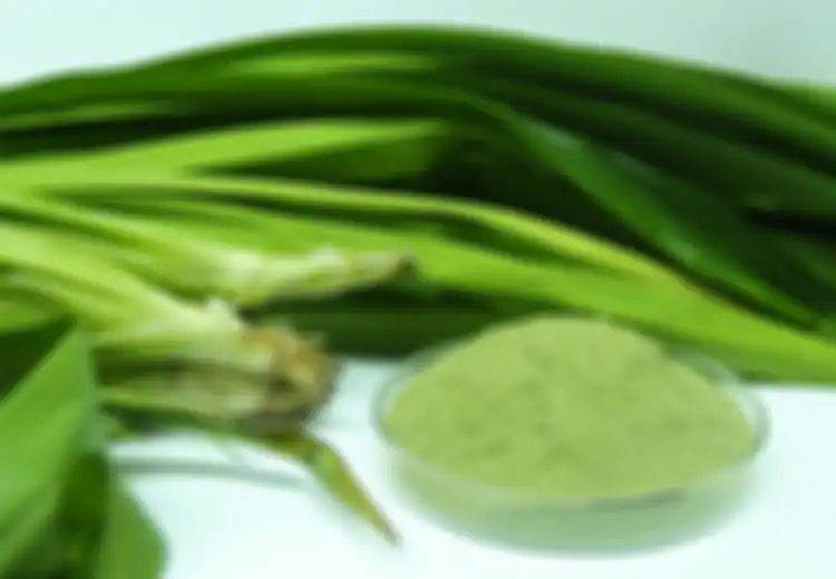 Siapa Sangka Minum Air Rebusan Daun Pandan Setiap Hari Bikin Tubuh Terhindar dari Penyakit Mematikan Ini