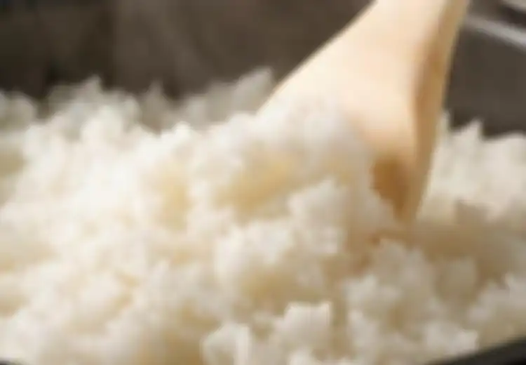 Sering Diacuhkan, Ternyata Penyebab Nasi Cepat Basi Adalah Kebiasaan-kebiasaan yang Tanpa Sadar Sering Dilakukan Kita Semua Ini