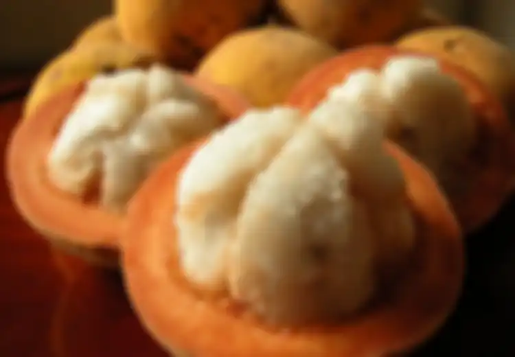 Buah Langka Ini Ternyata Banyak Manfaatnya Buat Kesehatan, dari Diabetes Hingga Obati Keputihan