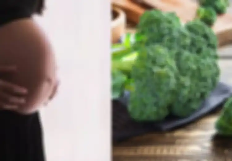 Wanita hamil jangan ragu Lagi Makan Brokoli, Rasakan 7 Manfaatnya untuk Kesehatan, Salah Satunya Kendalikan Anemia