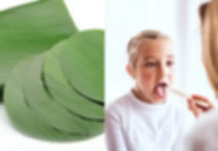 Tidak Hanya untuk Pembungkus Makanan Daun Pisang pun Bermanfaat untuk Kesehatan, Salah Satunya Obat Alami Radang Tenggorokan