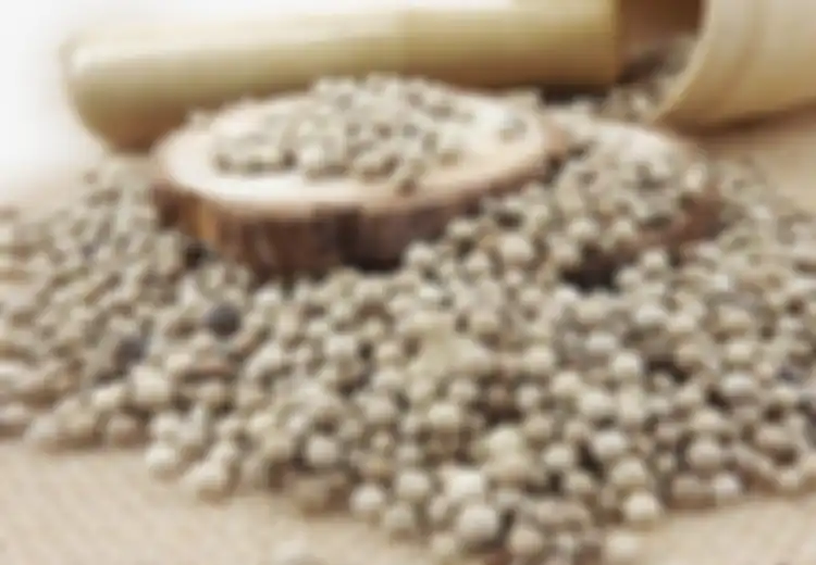 Tidak Hanya untuk Bumbu Dapur Lada Putih juga Miliki Manfaat Kesehatan untuk Turunkan Berat Badan Hingga Cegah Kanker