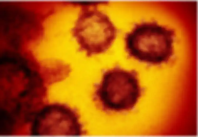 Sering Dianggap Sama, Ternyata Ini Perbedaan antara Virus dan Bakteri