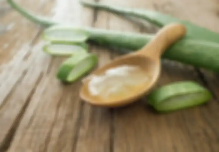 13 Obat Biduran Rumahan yang Ampuh dan Cerdas, Termasuk Lidah Buaya