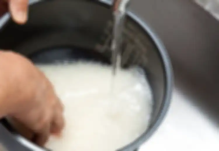 Mulai Sekarang, Jangan Mencuci Beras di Wadah Rice Cooker! Ternyata Bisa Timbulkan Bahaya Mengerikan Ini Bagi Tubuh