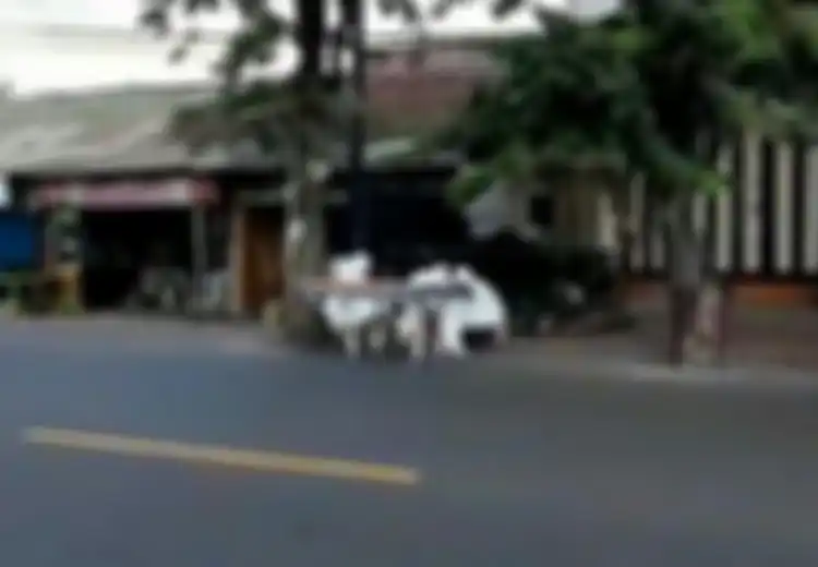 Kejang-kejang Kemudian Tak Sadarkan Diri di Atas Motor, WNA ini Sempat Dievakuasi Oleh Petugas dengan Pakaian Khusus, Tapi Akhirnya Meninggal Disebabkan ini, 'Jangan Dikaitkan Dengan Corona'