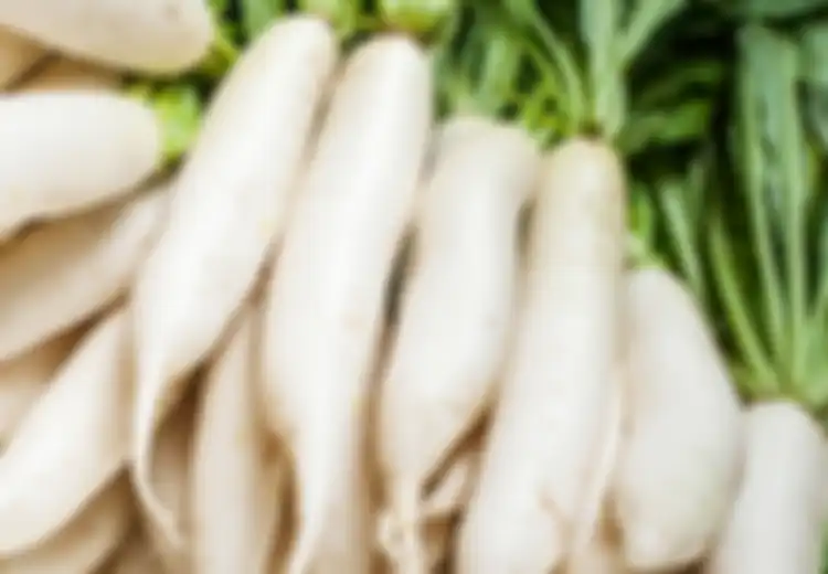 Meski Tidak Banyak Menyukai Tapi Ini 10 Manfaat Kesehatan Lobak, Sumber Kalium, Vitamin C, dan Serat