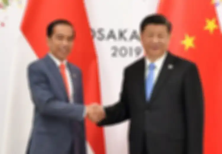 Jadi Lumbung Paling Menggiurkan di Asia, Ternyata Indonesia Bisa Menjadi China Berikutnya, Bermodalkan Jumlah Penduduk yang Besar dan Sumber Daya Alam Melimpah