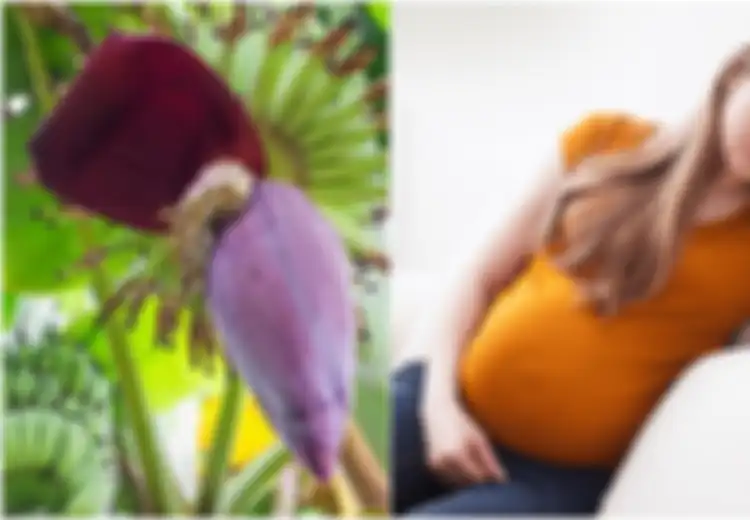 Ibu Hamil Tak Perlu Ragu Lagi Konsumsi Jantung Pisang, Ini 8 Manfaat Jantung Pisang untuk Ibu Hamil, Salah Satunya Cegah Diabetes Gestasional