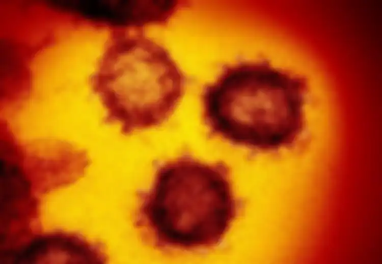 Bisa Sampai Rusak Organ Vital Pria Tanpa Masuki Sel di Dalam Organ, Inilah Bahaya Virus Corona yang Belum Diketahui Banyak Pria,  Hati-hati Bisa Sebabkan Kemandulan!