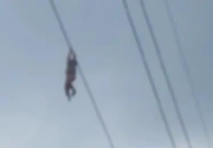 'Aku Udah Enggak Kuat Pegangan', Viral Bocah 9 Tahun Bergelantungan di Kabel Sling PLN Setinggi 15 Meter, Ini Cerita Bagaimana Si Bocah Bisa Alami Peristiwa Menegangkan Itu