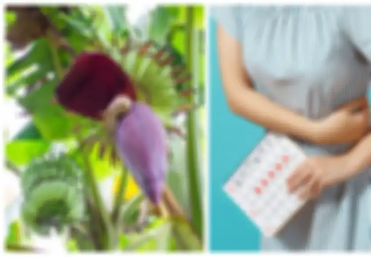 Tidak Hanya Buahnya, Ini Manfaat Jantung Pisang untuk Kesehatan Wanita,  Salah Satunya untuk Kurangi Darah Menstruasi