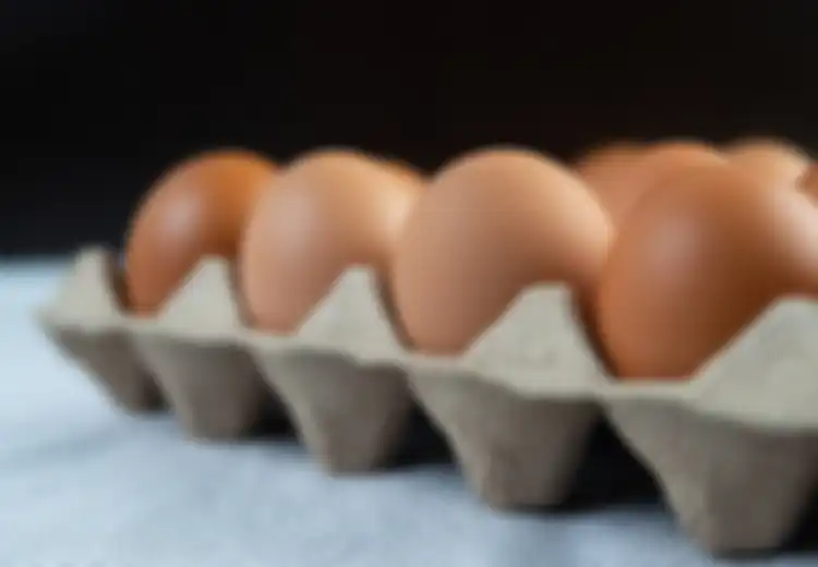 Hati-hati, Penjualan Telur Infertil Terbongkar, Mulai dari Harga Sangat Murah Sampai Bahaya Jika Anda Konsumsi Telur Ini